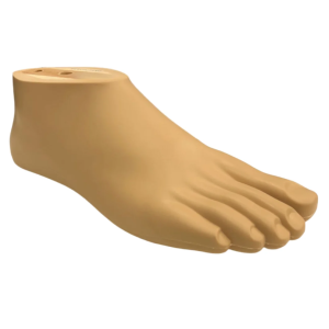 Pé Sach PD10 p/Prótese Transtibial ou Transfemoral Polior Dedo Aberto